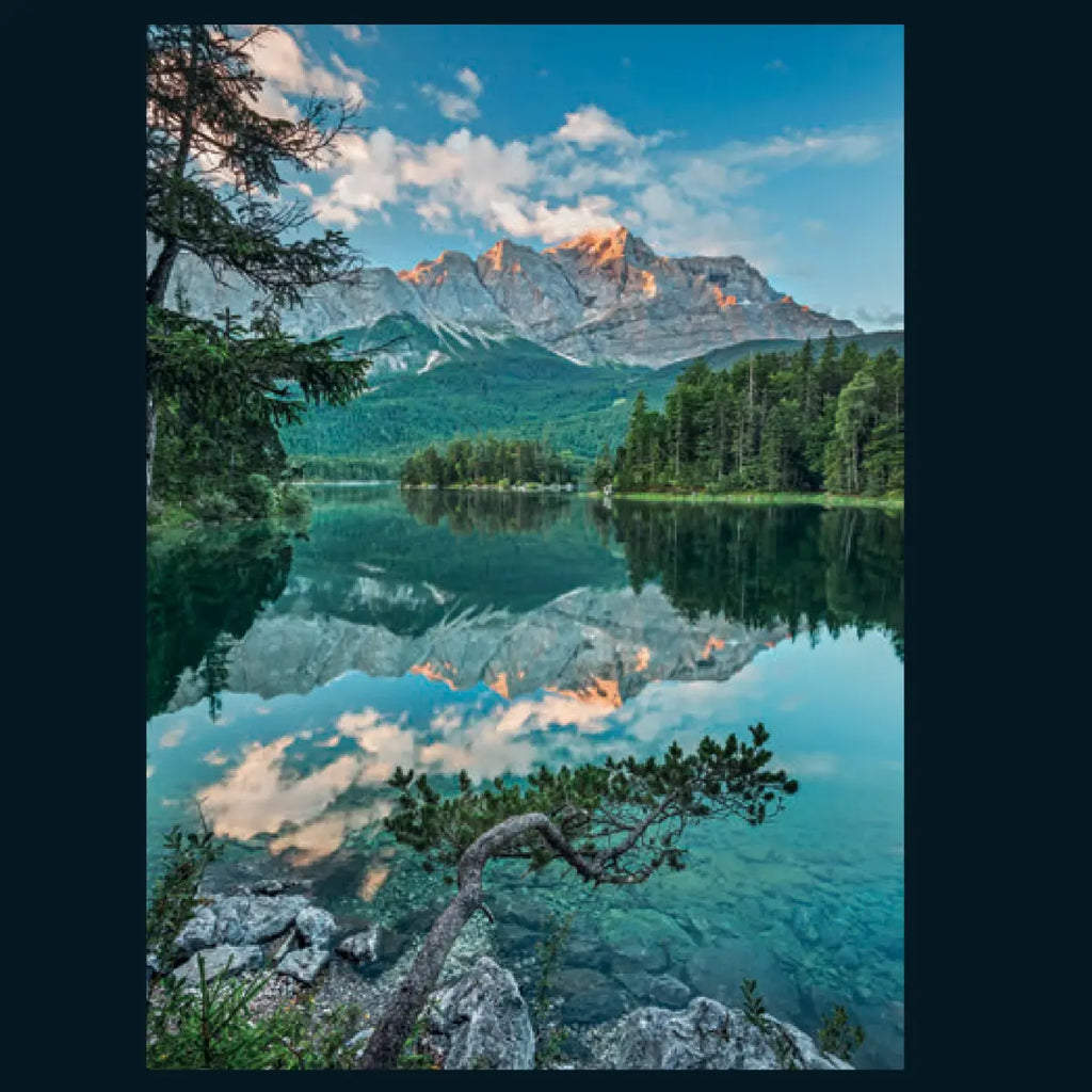 https://static.webx.pk/files/53836/Images/16-53836-2542362-170226124014146.webp