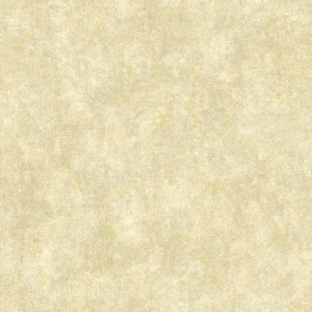 https://static.webx.pk/files/53836/Images/1cf-53836-2305970-280125050420761.jpg