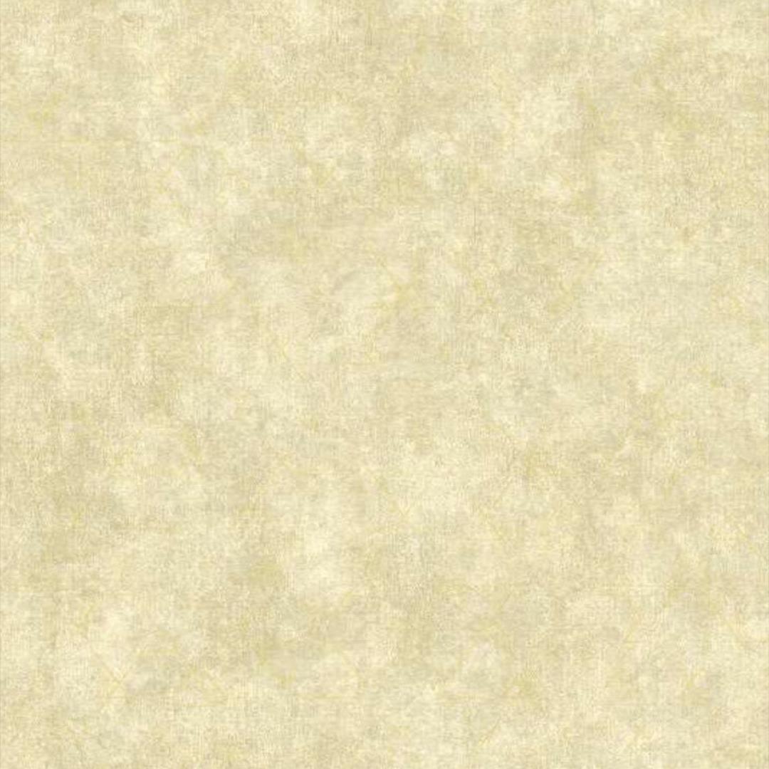 https://static.webx.pk/files/53836/Images/1cf-53836-2305970-280125050420761.jpg