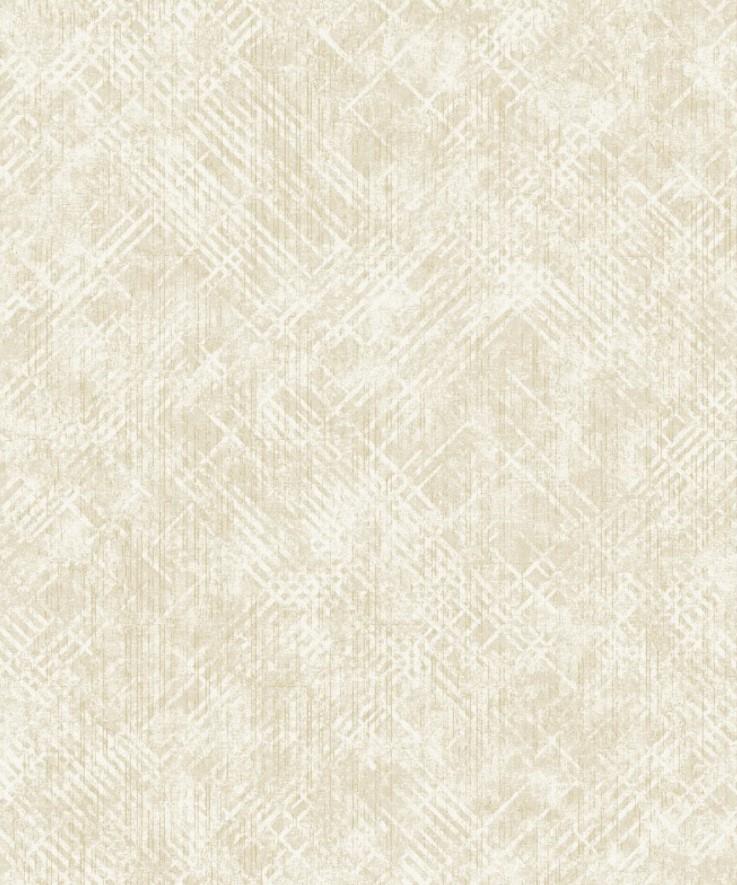 https://static.webx.pk/files/53836/Images/5c-53836-2305974-290125122038245.jpg