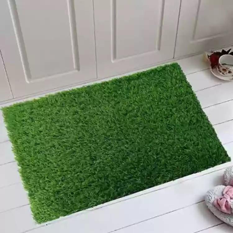 https://static.webx.pk/files/53836/Images/artificial-grass-mat-free-1-ky-00222-kylen-original-imagqp2a-53836-2211766-260924031221815.jpg