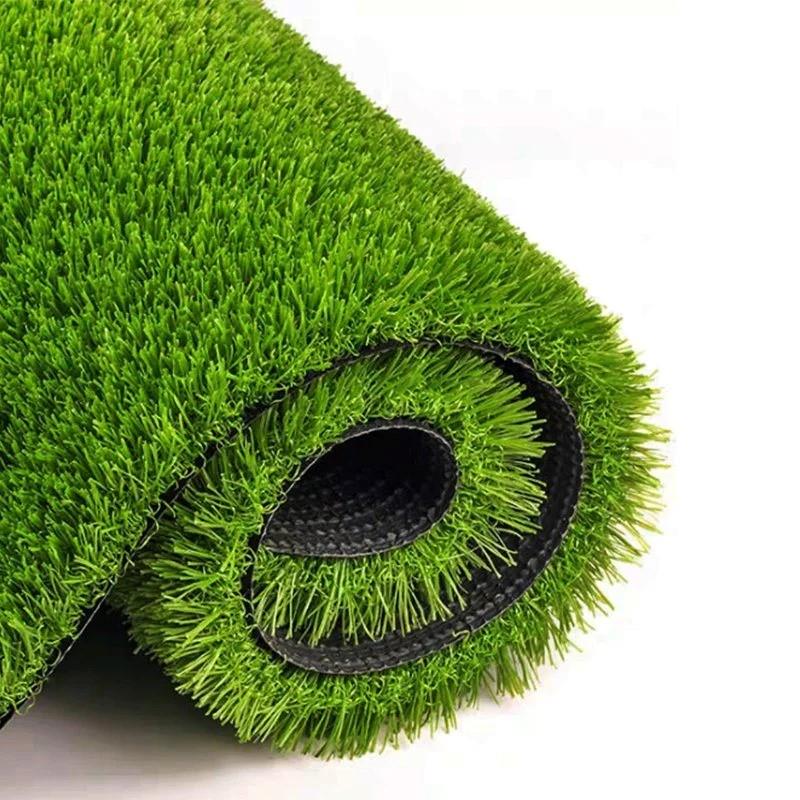 https://static.webx.pk/files/53836/Images/grass-53836-2211801-041024045312825.jpg